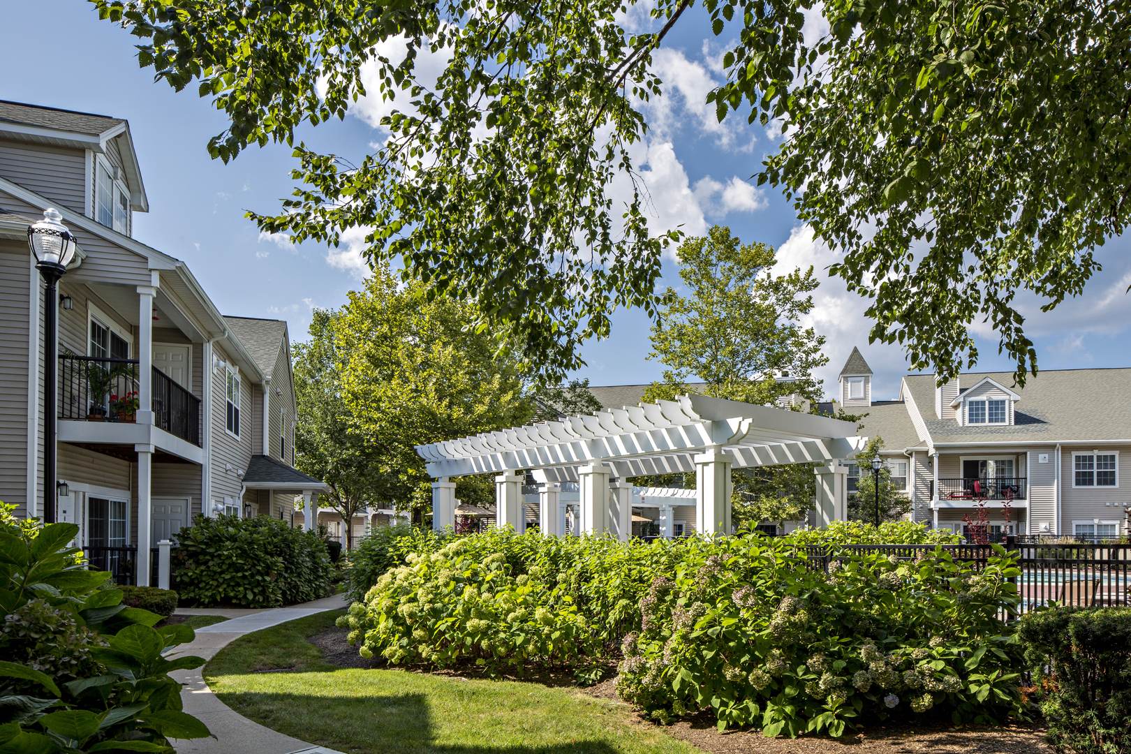 Courtyard with trees and walkway.